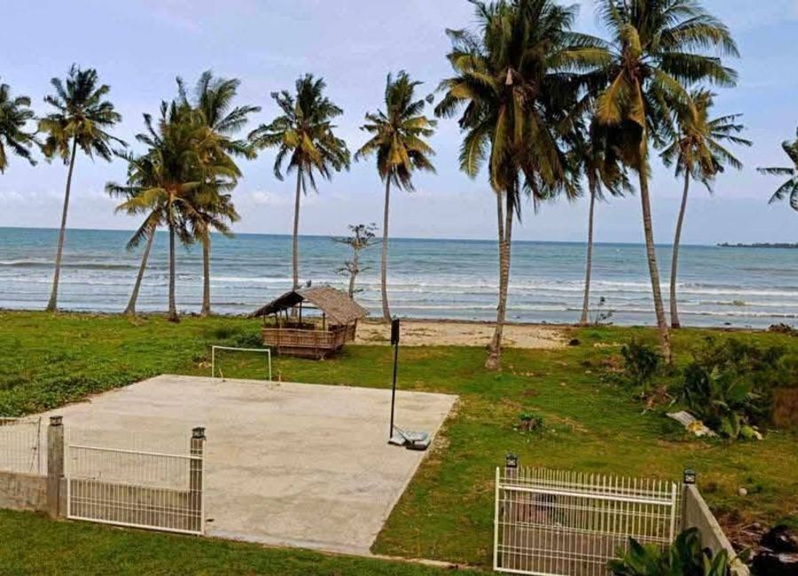place photo 6