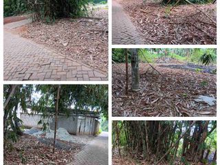 Disewakan tanah lokasi strategis di Tigaraksa