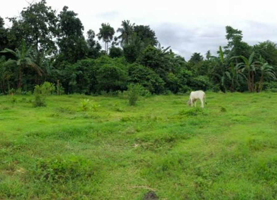 Janopol Oriental, Tanauan, Batangas image 3
