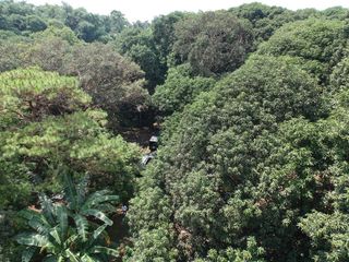 For Sale! 85,273 sqm Agricultural Land in Daranak Road, Tanay, Rizal