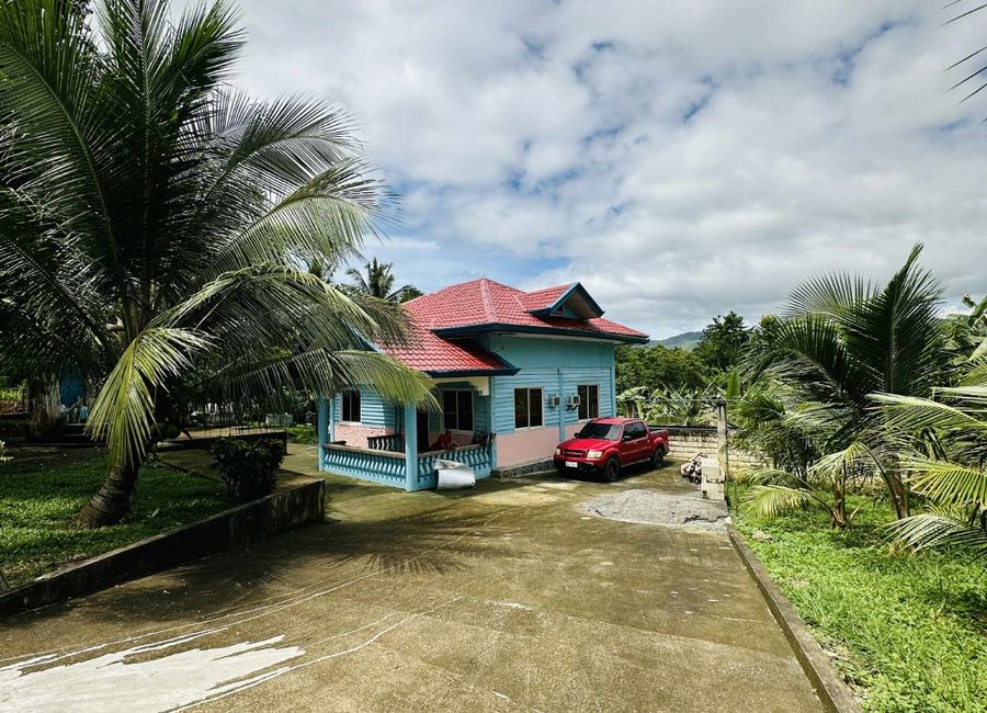 place photo 25