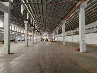 60,158 sqm Lot for Sale in CAA, Las Pinas