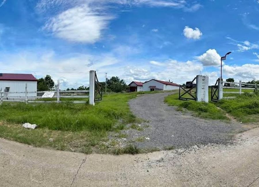 Mabini Avenue, Barangay 5, Tanauan, Batangas