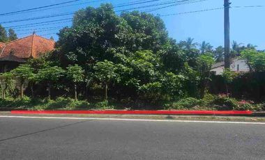 tanah pinggir jalan nasional cocok untuk usaha