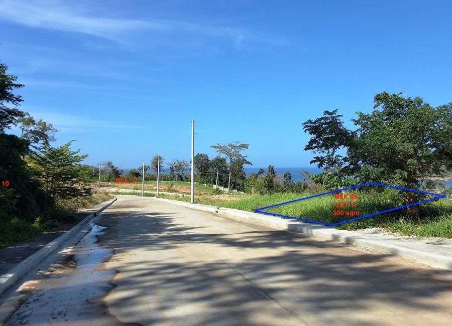 Nasugbu Road, Natipuan, Nasugbu, Batangas image 2