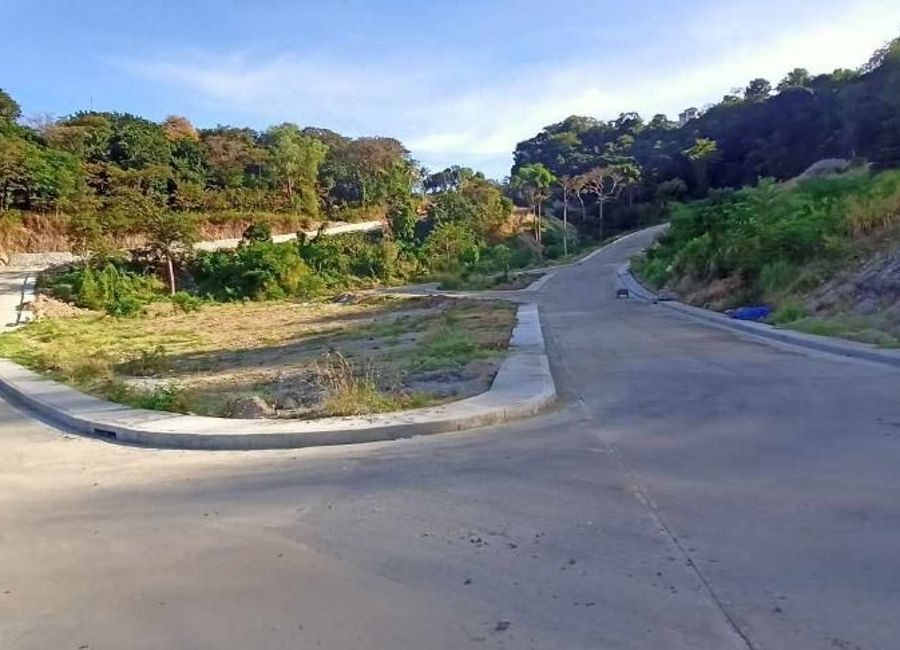 Nasugbu Road, Natipuan, Nasugbu, Batangas image 3
