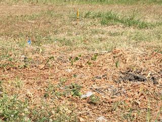 Prime Residential Lot for Sale in Exclusive Alabang West Village