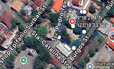 DUMAGUETE- PRIME COMMERCIAL LOT FOR SALE  near BOULEVARD