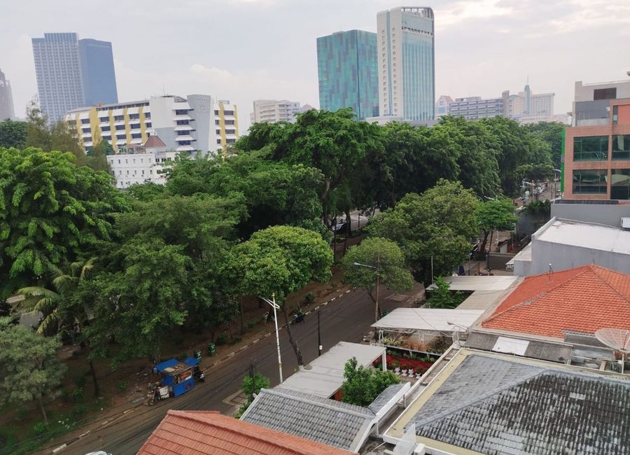 place photo 11