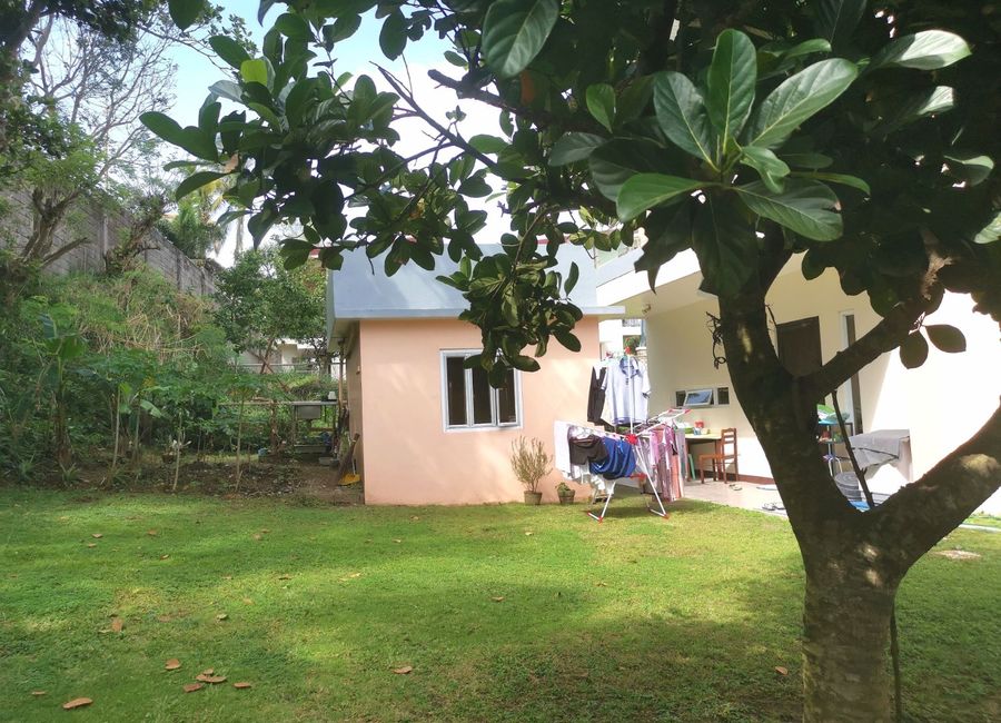 place photo 36