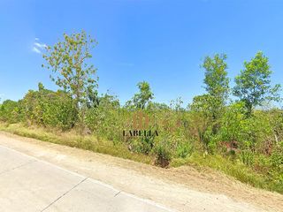 Lot for Sale – 8,647 sqm with 69m Frontage – Camambugan, Ubay, Bohol