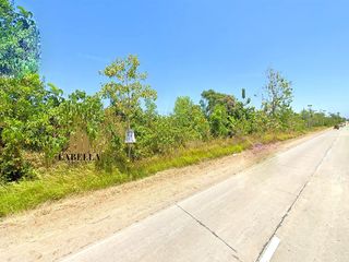 Lot for Sale – 5,990 sqm with 69m Frontage – Camambugan, Ubay, Bohol