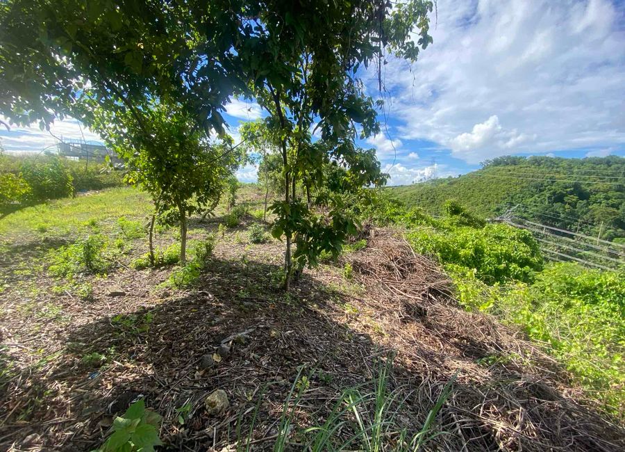 Ridgedale Subdivision Prime Lot with stunning view | Lamudi.com.ph