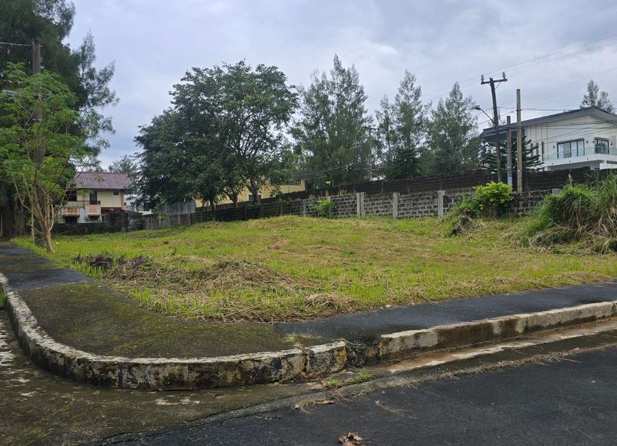Washington Avenue, Royale Tagaytay Estates, Upli, Alfonso, Cavite