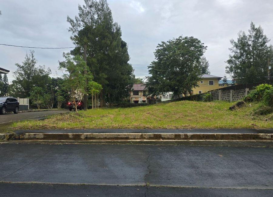 Washington Avenue, Royale Tagaytay Estates, Upli, Alfonso, Cavite image 3