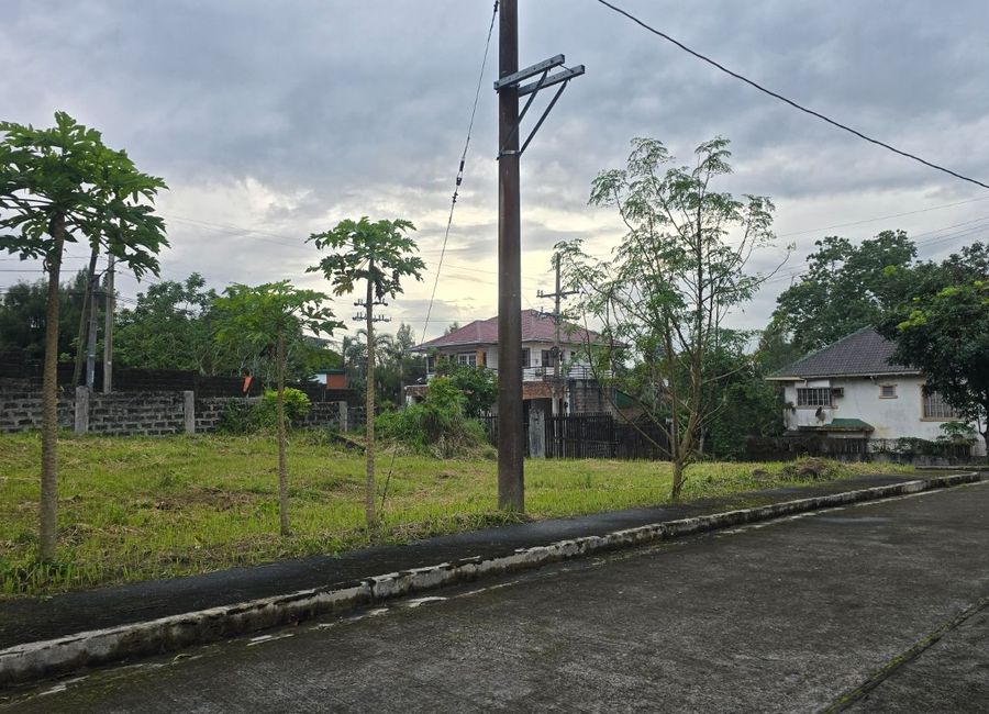 Washington Avenue, Royale Tagaytay Estates, Upli, Alfonso, Cavite image 2