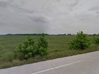 35,541 sqm Commercial Lot near SM City Rosales, Pangasinan for sale!
