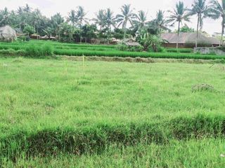 land  for sale .cantik dan strategis  luas  10 are . 15 menit ke ubud kota