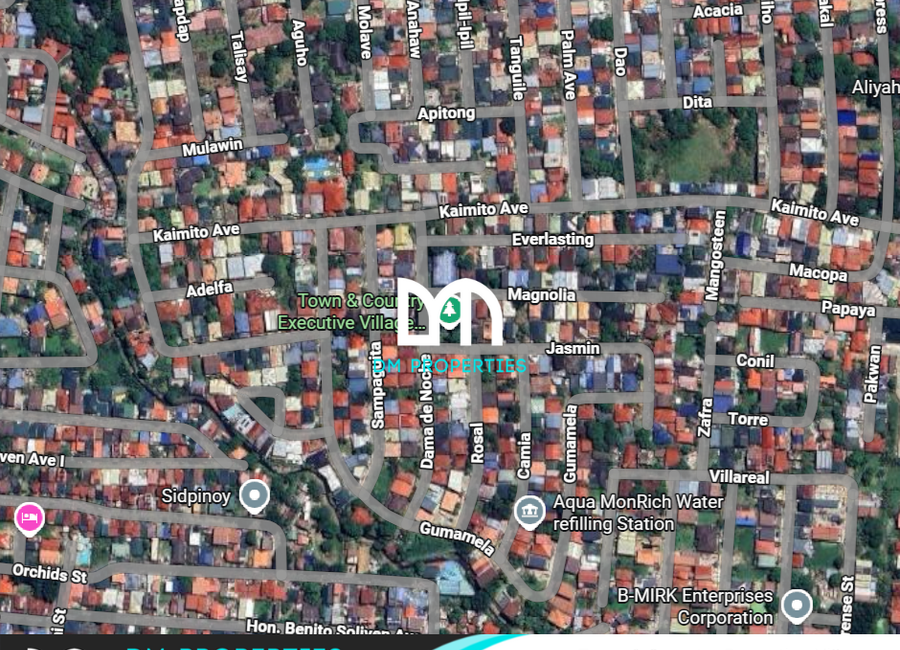 Guyabano Street, Town & Country Executive Village, Mayamot, Antipolo, Rizal