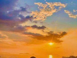 Kavling 2342m2 Labuan Bajo NTT Best Sunset & Ocean View N1099