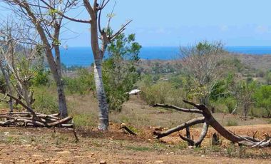 small. land with ocean view only 30 minutes from kita mandalika
