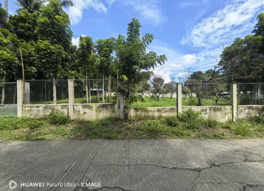 Poblacion, Sinturisan, San Antonio, 2nd District, Quezon image 2