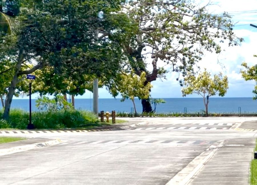 Malabrigo-Laiya Road, Laiya-Aplaya, San Juan, Batangas image 3
