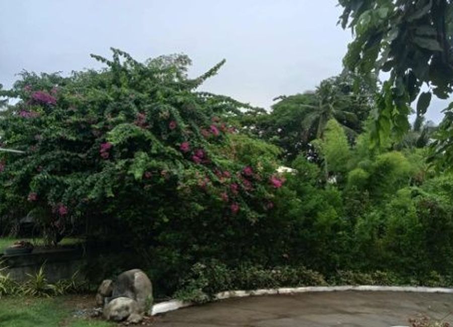 place photo 28