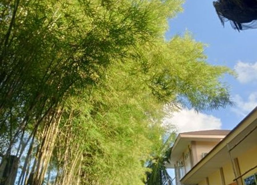 place photo 29