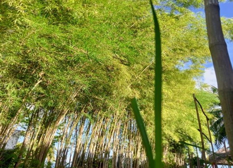 place photo 32