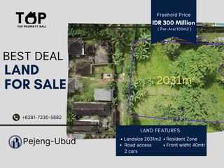 Tanah Murah 20,31 Are di Pejeng dekat ke Ubud Bali Hak Milik