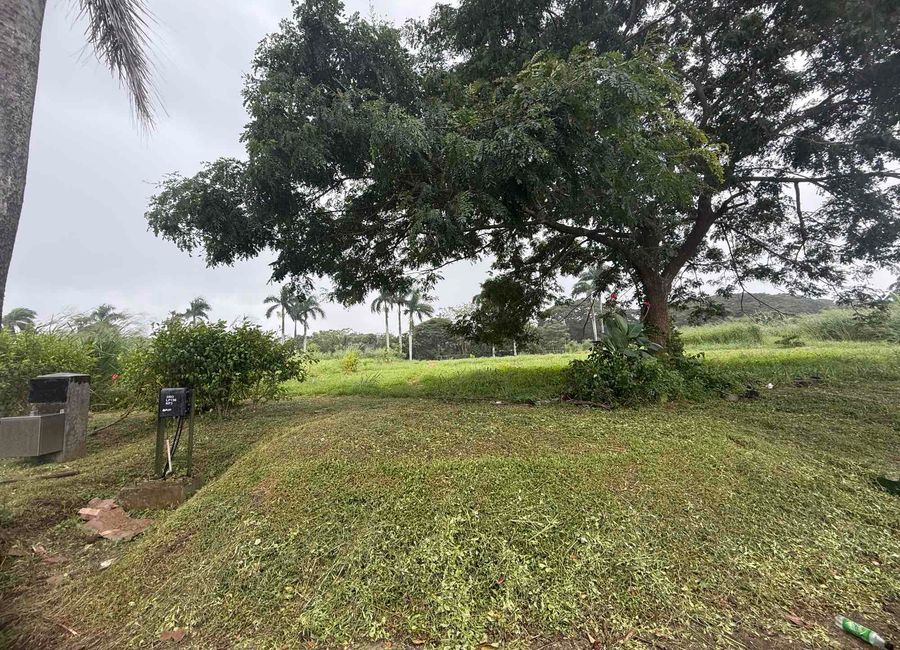 Provincial Road, Don Jose, Santa Rosa, Laguna image 2