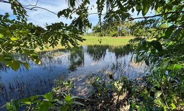 Prime 1,530 sq m Titled Lot in Nabas, Aklan – Zoned Residential & Ready for Development. Scenic rice paddy view.