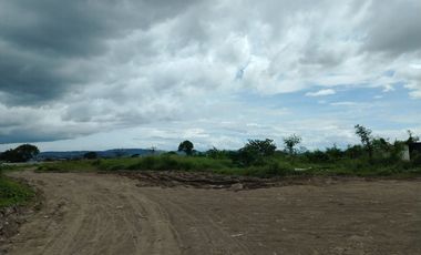 4.9 hectares Industrial Lot for Sale in C6 Taytay