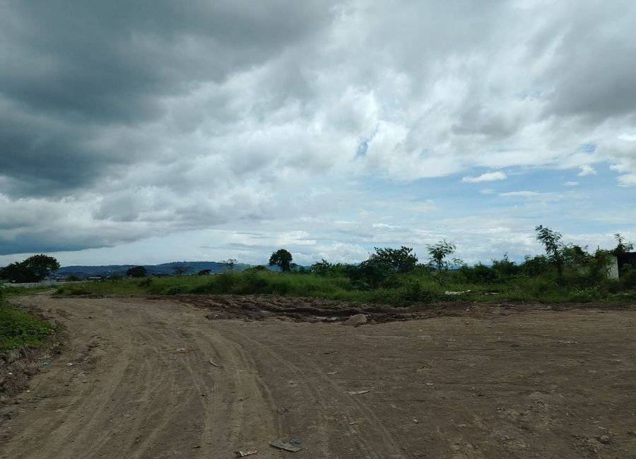 Ynares Avenue, Purok 8, Santa Ana, Taytay, Rizal