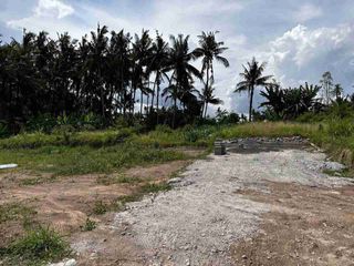 Tanah Kavling View Sawah dan Sungai, Strategis di Saba, Gianyar dekat Sanur