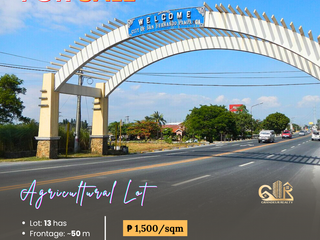 For Sale: Agricultural Property located at San Fernando, Pampanga