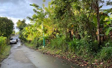 For Sale 1.5 Hectares Lot at Brgy. Luksuhin Ilaya, Alfonso Cavite