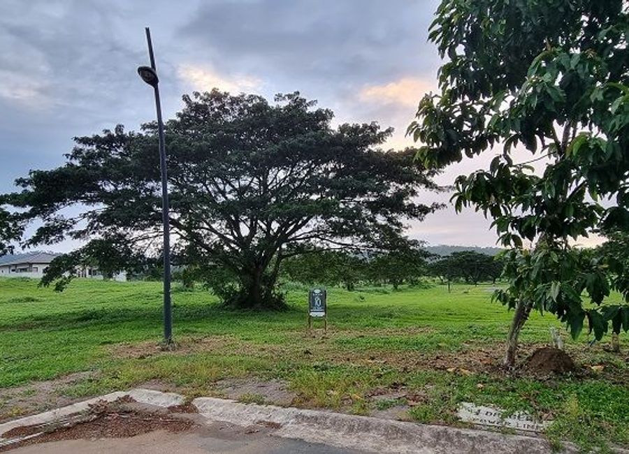 Soliento, Canlubang, Calamba, Laguna