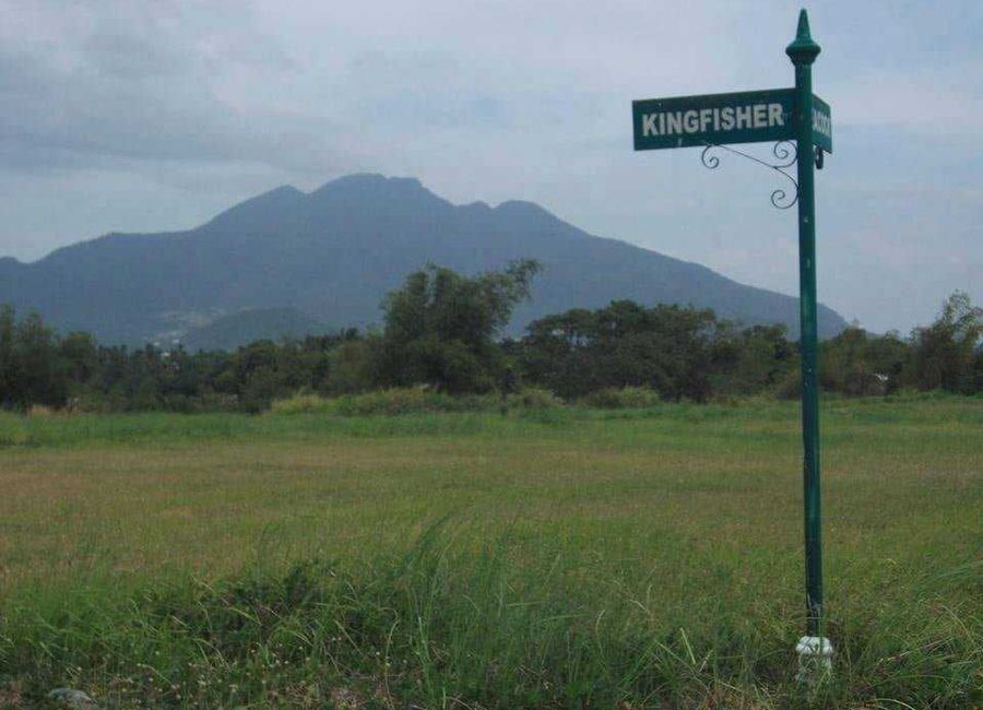 Ridge Avenue, Carmel Ridge Residential Estates, Punta, Calamba, Laguna image 3