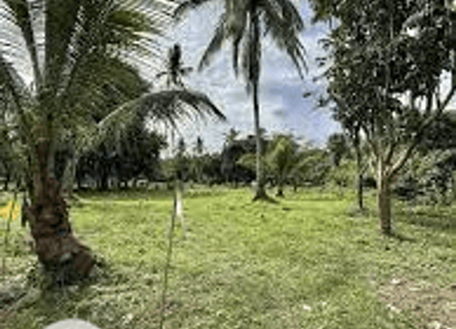 Rizal Street, Purok 1A, Labak 2, Candelaria, 2nd District, Quezon