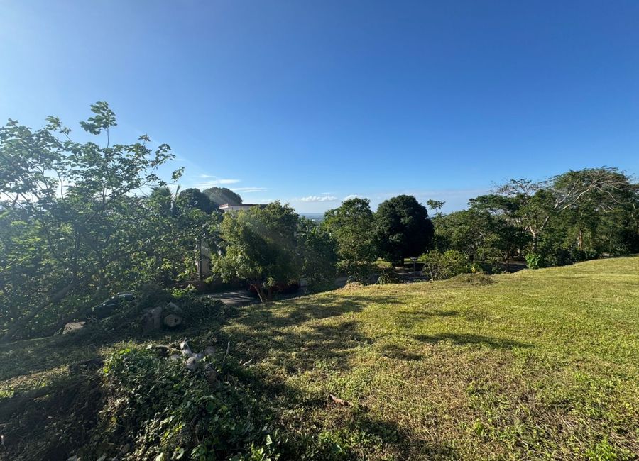 Spine Road, Ayala Greenfield Estates, Maunong, Calamba, Laguna