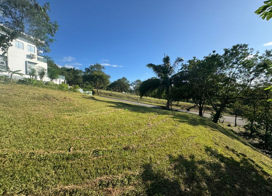 Spine Road, Ayala Greenfield Estates, Maunong, Calamba, Laguna image 2