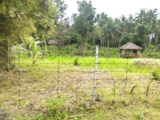 Residential Lot for Sale - 2,077 sqm Gated - Baclayon, Bohol