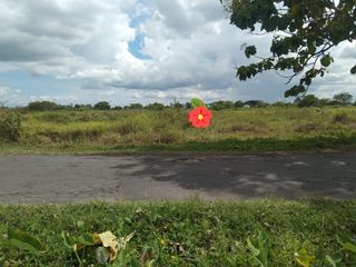 Dijual Cepat Tanah Murah di Tlobong dekat stasiun KA Delanggu Klaten