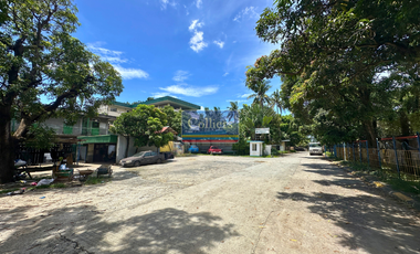 FOR SALE: 16 Hectare Property in Sto. Tomas, Batangas