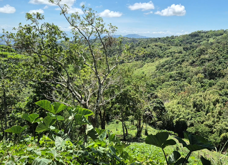 Big-C, Tanay, Rizal