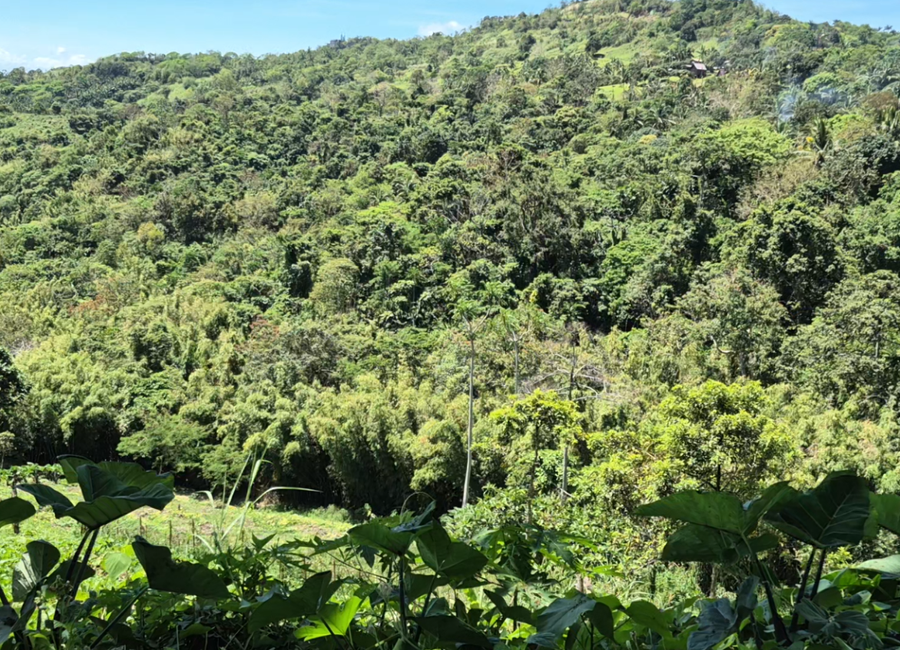 Big-C, Tanay, Rizal image 2