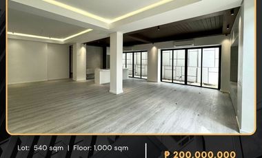 For Sale: Newly Renovated House in Ayala Heights, Quezon City