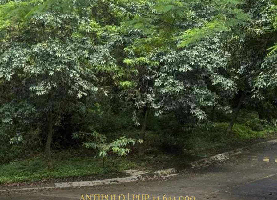 Parkridge Drive, Park Ridge, Santa Cruz, Antipolo, Rizal